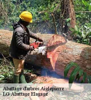 Abattage d'arbres  aiglepierre-39110 LG Abattage Elagage 