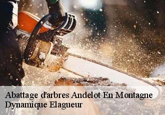 Abattage d'arbres  andelot-en-montagne-39110 Dynamique Elagueur