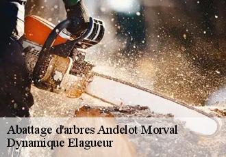 Abattage d'arbres  andelot-morval-39320 Dynamique Elagueur