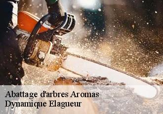 Abattage d'arbres  aromas-39240 Dynamique Elagueur