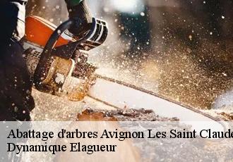 Abattage d'arbres  avignon-les-saint-claude-39200 Dynamique Elagueur
