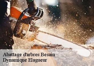 Abattage d'arbres  besain-39800 Dynamique Elagueur