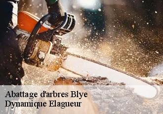 Abattage d'arbres  blye-39130 Dynamique Elagueur