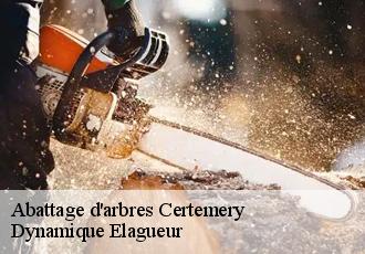 Abattage d'arbres  certemery-39330 Dynamique Elagueur
