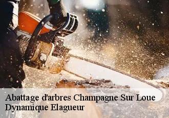 Abattage d'arbres  champagne-sur-loue-39600 Dynamique Elagueur