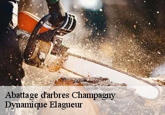 Abattage d'arbres  champagny-39110 Dynamique Elagueur