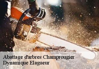 Abattage d'arbres  champrougier-39230 Dynamique Elagueur