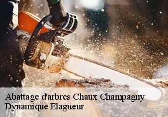 Abattage d'arbres chaux-champagny-39110 Dynamique Elagueur