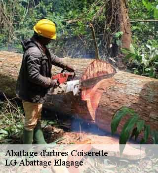 Abattage d'arbres  coiserette-39200 LG Abattage Elagage 