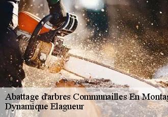 Abattage d'arbres communailles-en-montagne-39250 Dynamique Elagueur