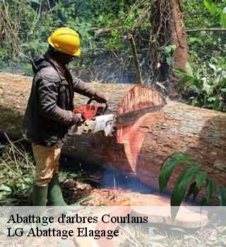 Abattage d'arbres courlans-39570 LG Abattage Elagage