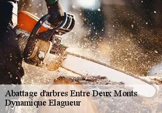 Abattage d'arbres entre-deux-monts-39150 Dynamique Elagueur