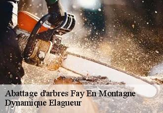 Abattage d'arbres  fay-en-montagne-39800 Dynamique Elagueur