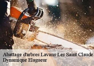 Abattage d'arbres  lavans-les-saint-claude-39170 Dynamique Elagueur
