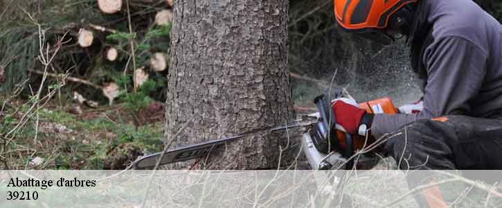 Abattage d'arbres  39210