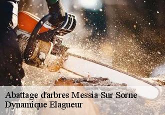 Abattage d'arbres  messia-sur-sorne-39570 Dynamique Elagueur