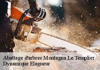 Abattage d'arbres  montagna-le-templier-39320 Dynamique Elagueur