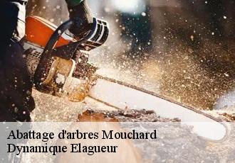 Abattage d'arbres mouchard-39330 Dynamique Elagueur