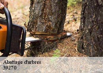 Abattage d'arbres 39270