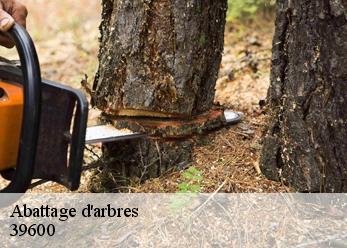 Abattage d'arbres 39600