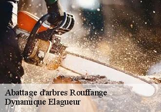 Abattage d'arbres rouffange-39350 Dynamique Elagueur
