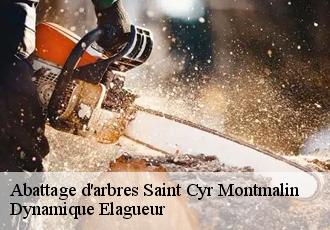 Abattage d'arbres  saint-cyr-montmalin-39600 Dynamique Elagueur