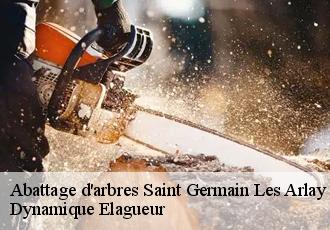 Abattage d'arbres  saint-germain-les-arlay-39210 Dynamique Elagueur