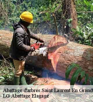 Abattage d'arbres  saint-laurent-en-grandvaux-39150 LG Abattage Elagage 