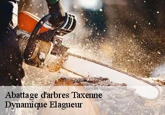 Abattage d'arbres taxenne-39350 Dynamique Elagueur