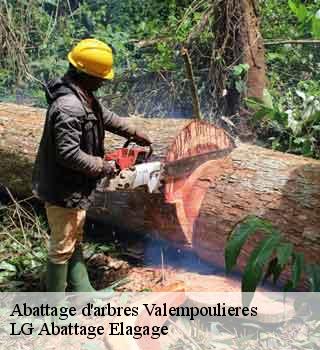 Abattage d'arbres valempoulieres-39300 LG Abattage Elagage