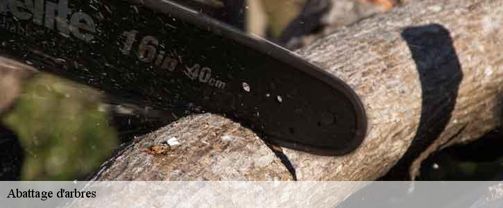 Abattage d'arbres  39200