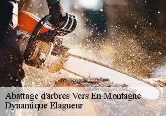 Abattage d'arbres  vers-en-montagne-39300 Dynamique Elagueur