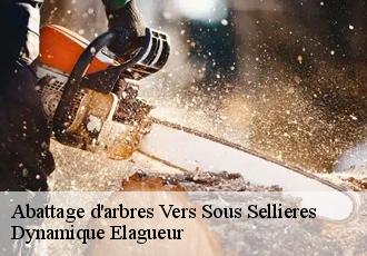 Abattage d'arbres vers-sous-sellieres-39230 Dynamique Elagueur