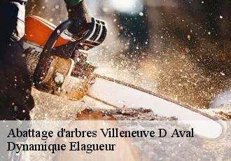 Abattage d'arbres villeneuve-d-aval-39600 Dynamique Elagueur