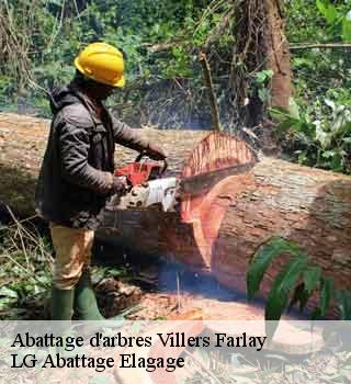 Abattage d'arbres villers-farlay-39600 LG Abattage Elagage