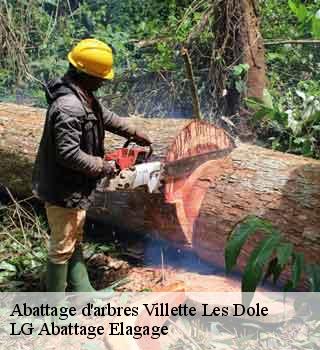 Abattage d'arbres  villette-les-dole-39100 LG Abattage Elagage 