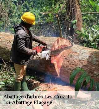 Abattage d'arbres  les-crozats-39150 LG Abattage Elagage 