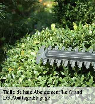 Taille de haie  abergement-le-grand-39600 LG Abattage Elagage 