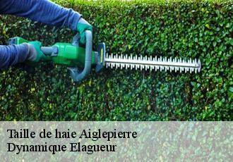 Taille de haie  aiglepierre-39110 Dynamique Elagueur