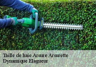 Taille de haie  arsure-arsurette-39250 Dynamique Elagueur