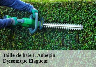 Taille de haie  l-aubepin-39160 Dynamique Elagueur