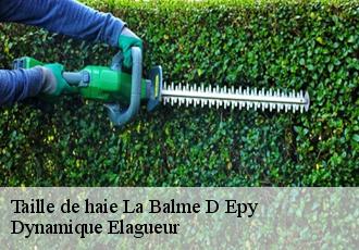 Taille de haie  la-balme-d-epy-39320 Dynamique Elagueur