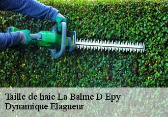 Taille de haie la-balme-d-epy-39320 Dynamique Elagueur