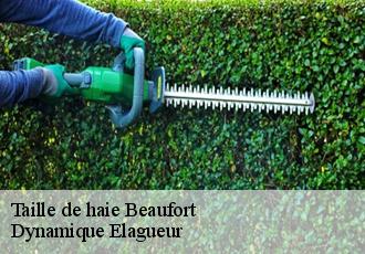 Taille de haie  beaufort-39190 Dynamique Elagueur