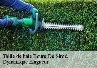 Taille de haie  bourg-de-sirod-39300 Dynamique Elagueur