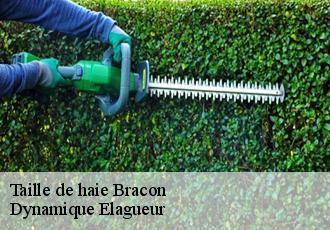 Taille de haie  bracon-39110 Dynamique Elagueur