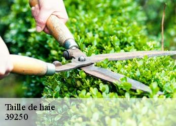 Taille de haie 39250