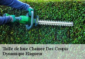 Taille de haie  chainee-des-coupis-39120 Dynamique Elagueur