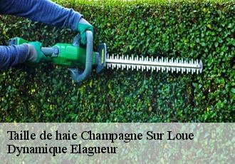 Taille de haie  champagne-sur-loue-39600 Dynamique Elagueur