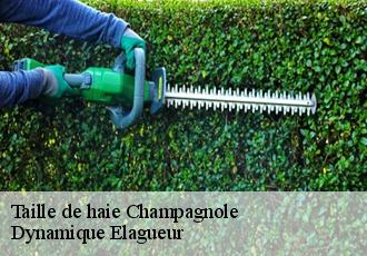 Taille de haie  champagnole-39300 Dynamique Elagueur